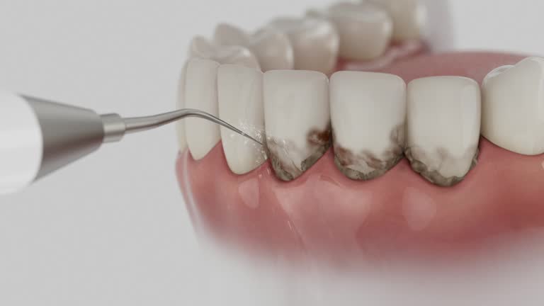 Reliable Dental contractor in Park Forest Village, PA by Dentist Open Now